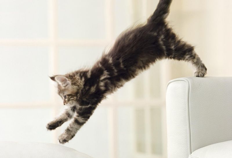 Six-Month Sprint
