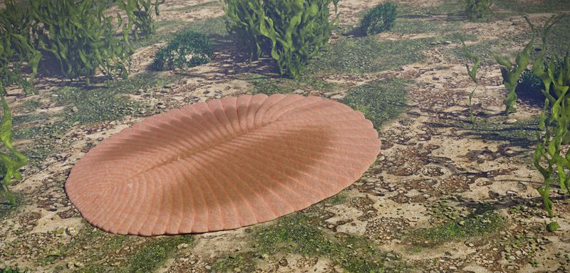 Dickinsonia