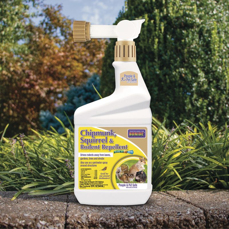 Use A Squirrel-Repellent Spray