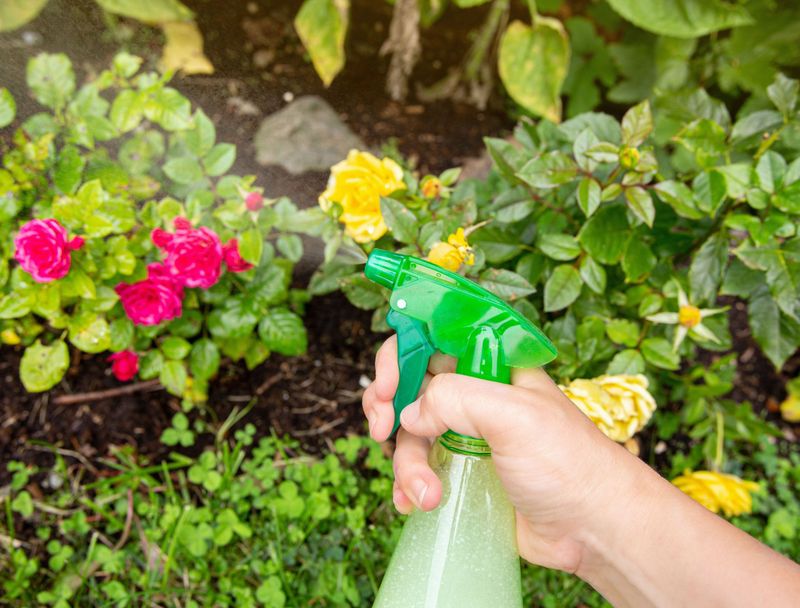 Create Vinegar Deterrent Sprays