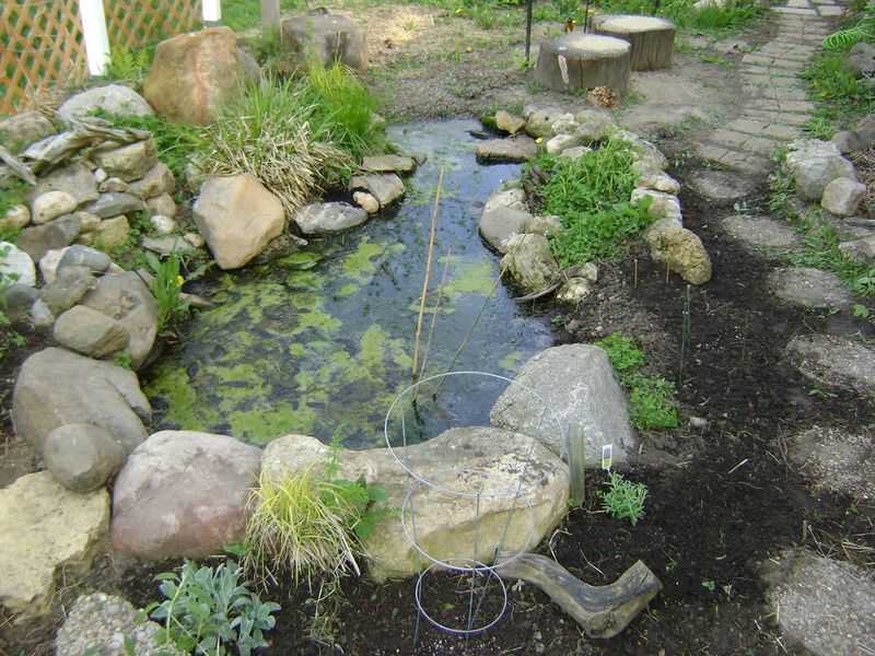 Create Mud Puddles For Minerals
