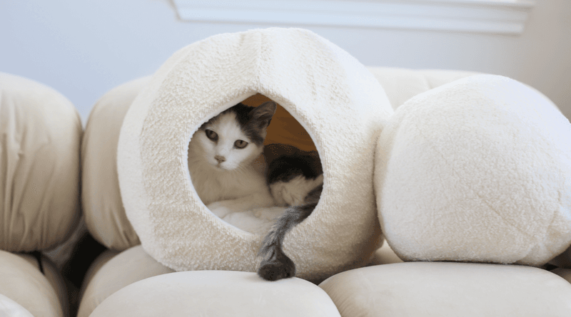 Create Cozy Hiding Spots