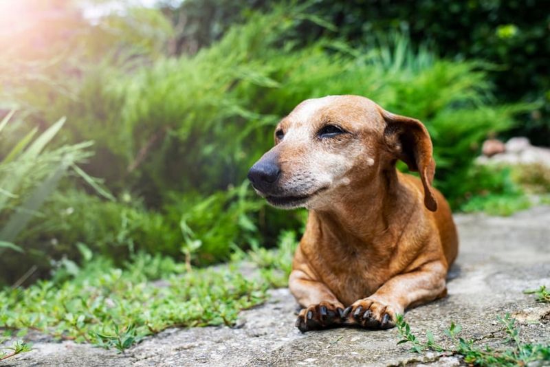 Long Lifespan For Lasting Love