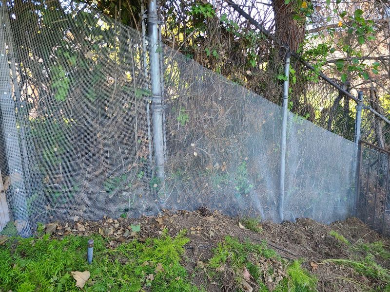 Install Snake-Proof Fencing
