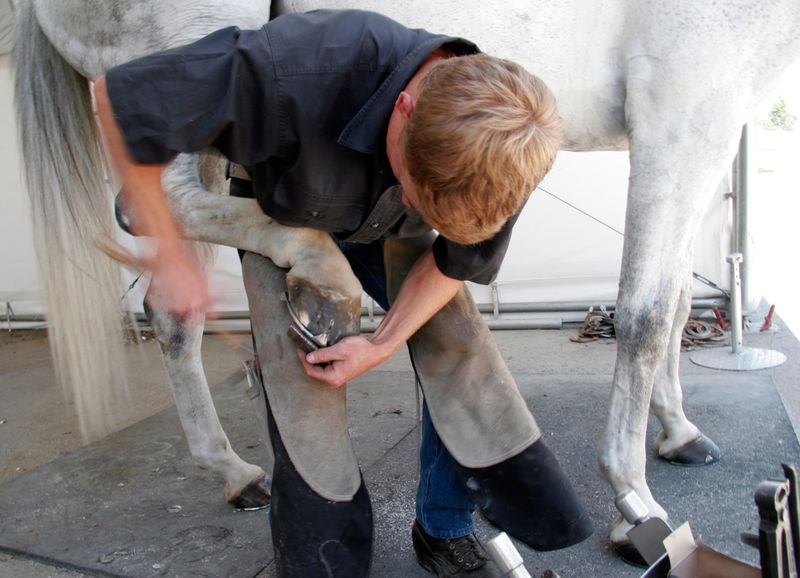 Consult A Farrier For Advice