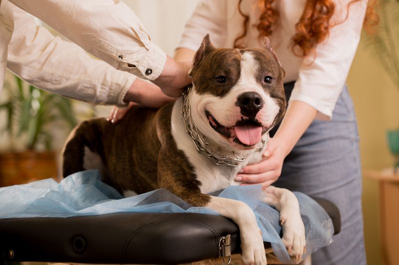 Consider Alternative Therapies