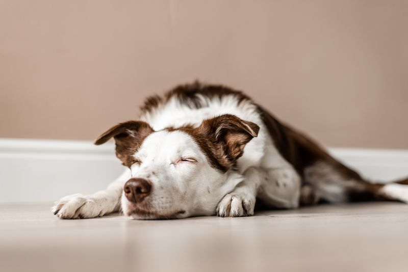 Changes In Sleep Patterns