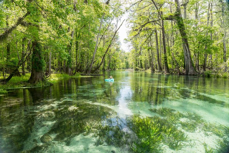Ichetucknee Springs – Blue Water Haven