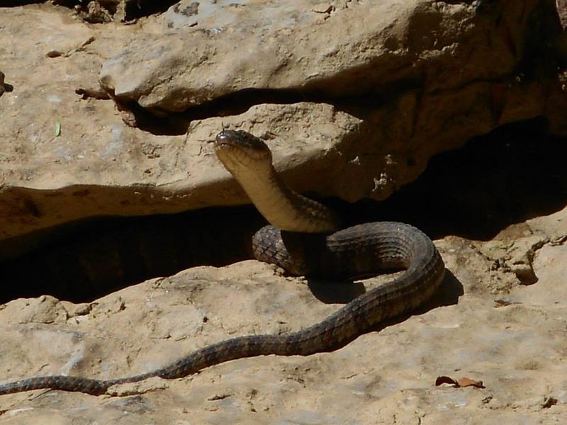 Kentucky – Red River Gorge
