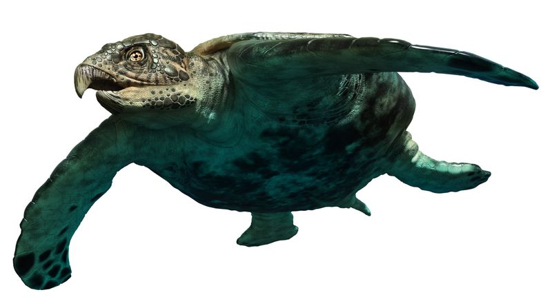 Archelon: The Prehistoric Giant