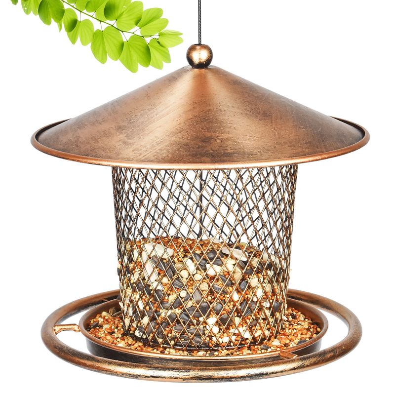 Choose Larger, Heavy Feeders