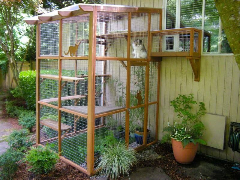 Install A Catio
