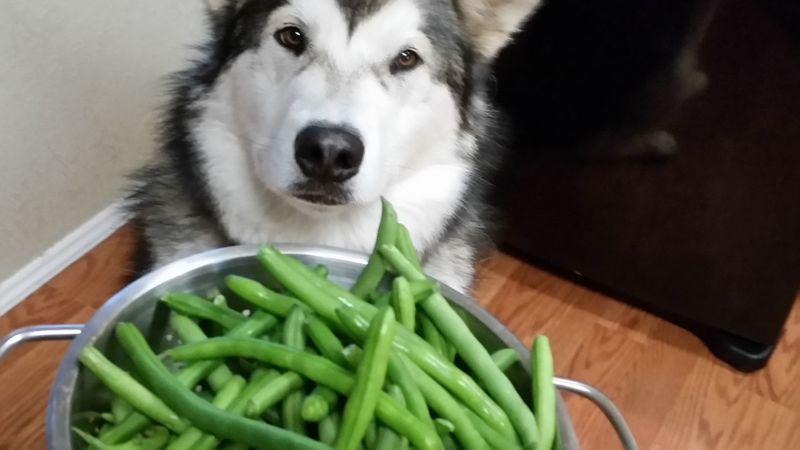 Green Beans