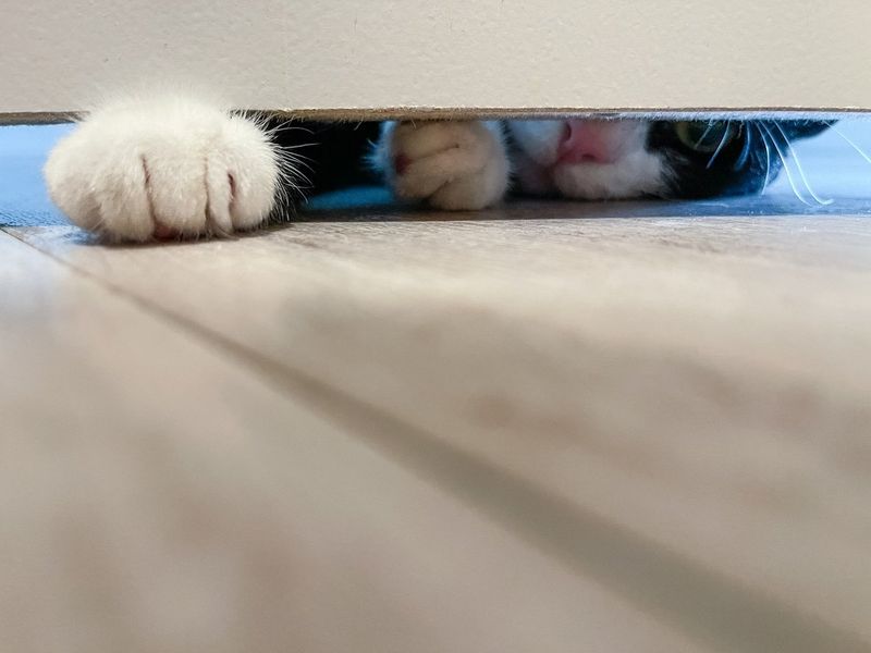 Bathroom Stalking Campaign