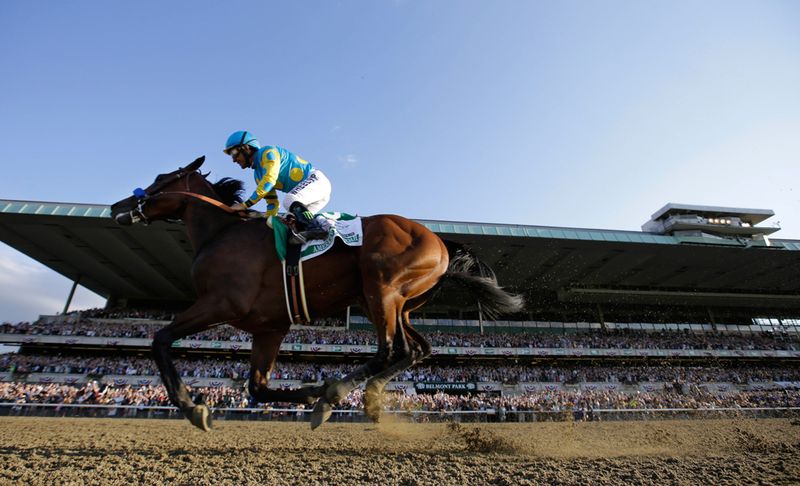 American Pharoah: Drought Breaker