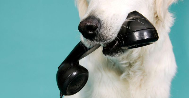 Have Emergency Contact Ready