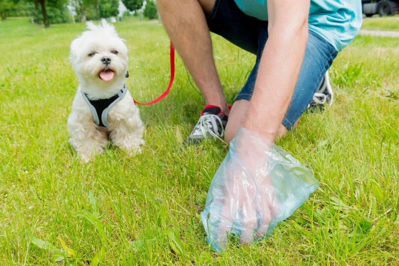Not Cleaning Up After Their Dog