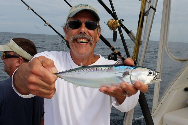 Smallest Tuna Ever Caught
