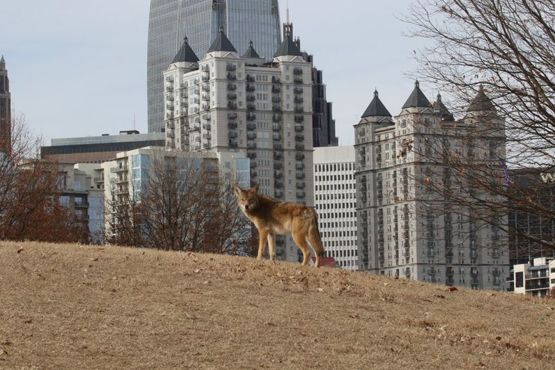 Atlanta, Georgia