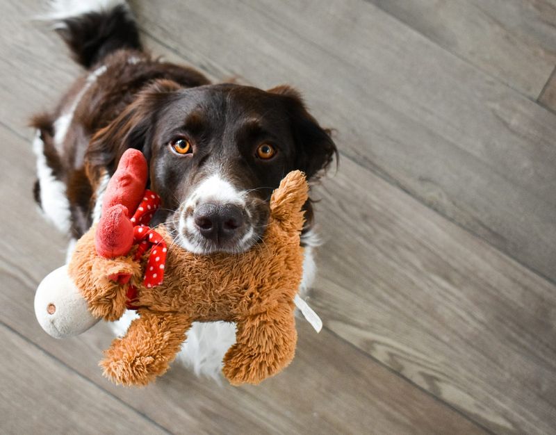 Bringing You Toys