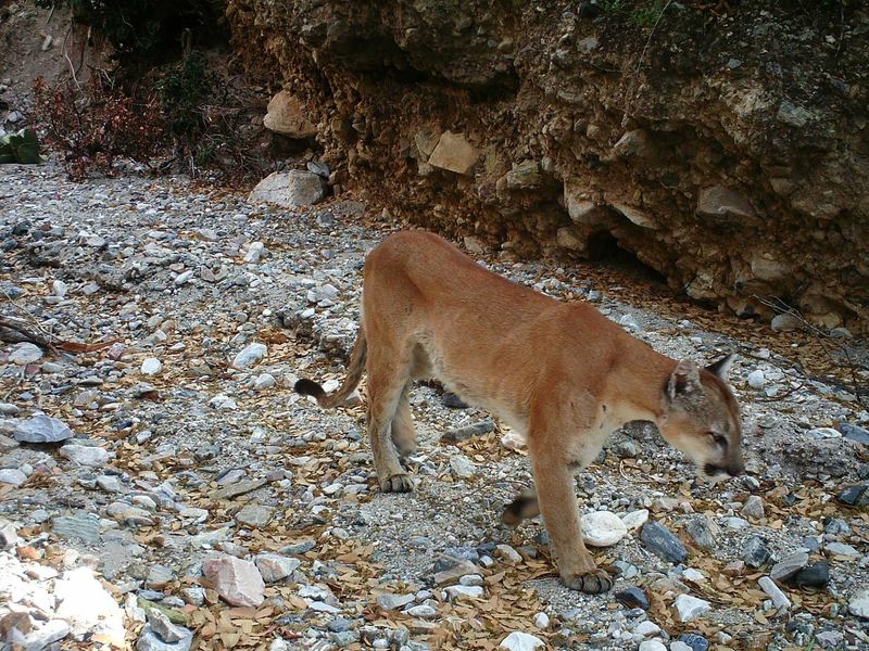 Support Research Through Citizen Science