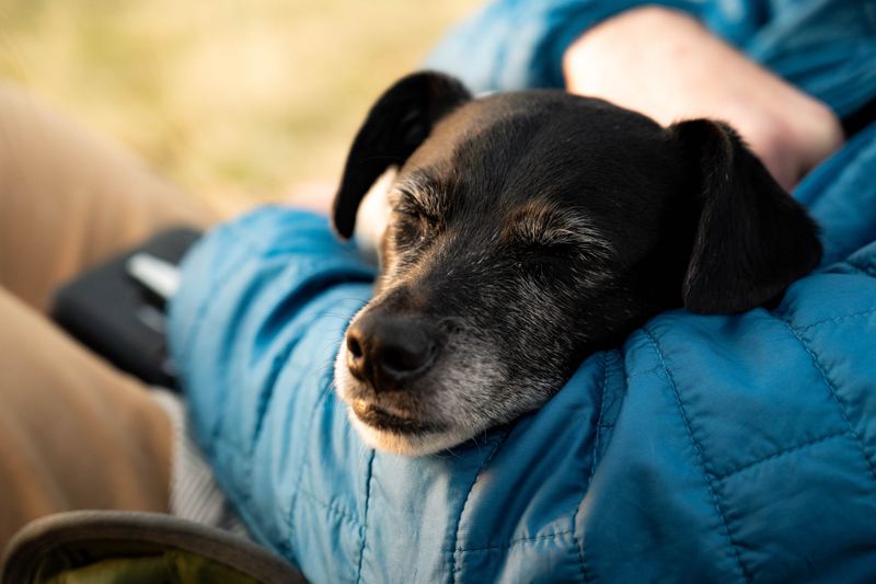 Master Stress-Reduction Techniques