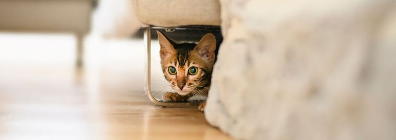Neglecting Hiding Spots