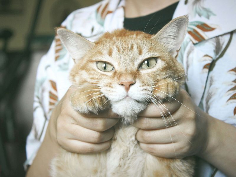 MISTAKE: Forcing Physical Affection