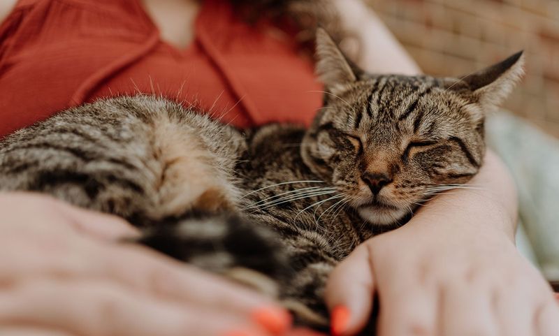 Snuggling Close
