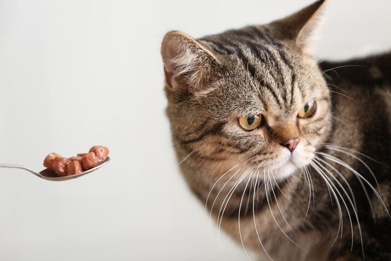 Picky Eating Habits