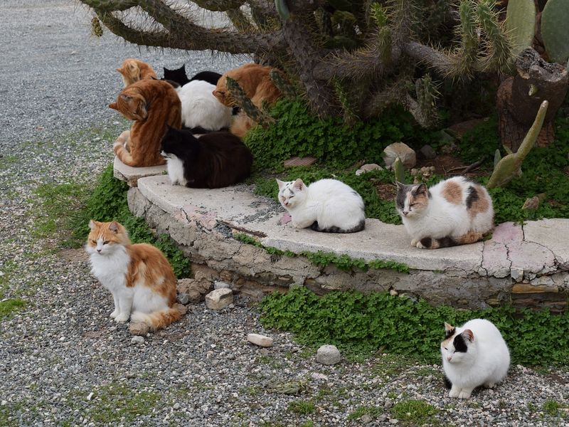 Group Dynamics Give Clues