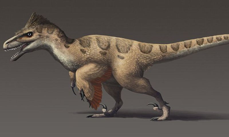Utahraptor: The Velociraptor's Terrifying Big Brother