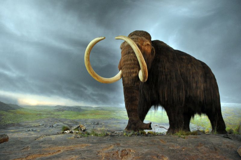 Age Dating Confirms Pleistocene Period