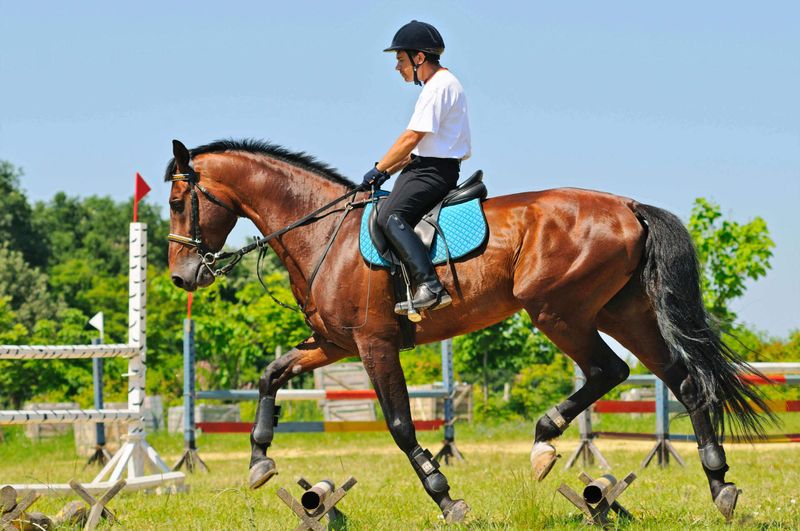 Training For Specialized Skills