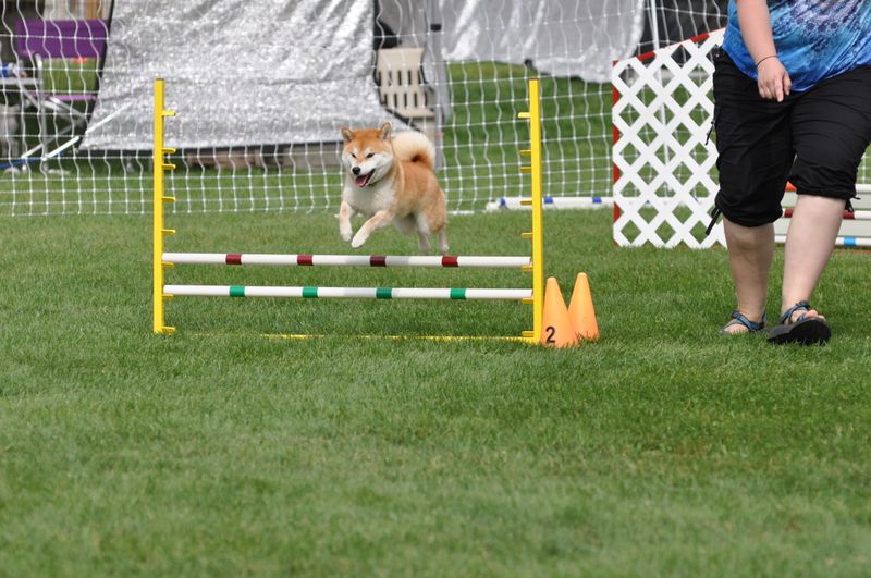 Ninja-Level Agility