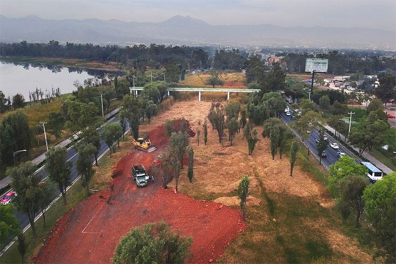 The Impact Of Urban Development On Wetlands