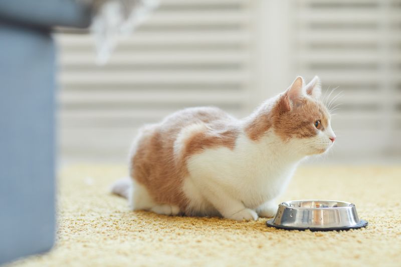 Decreased Appetite