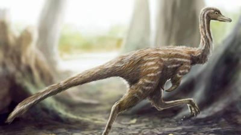 Xixianykus: The Ant-Eating Specialist