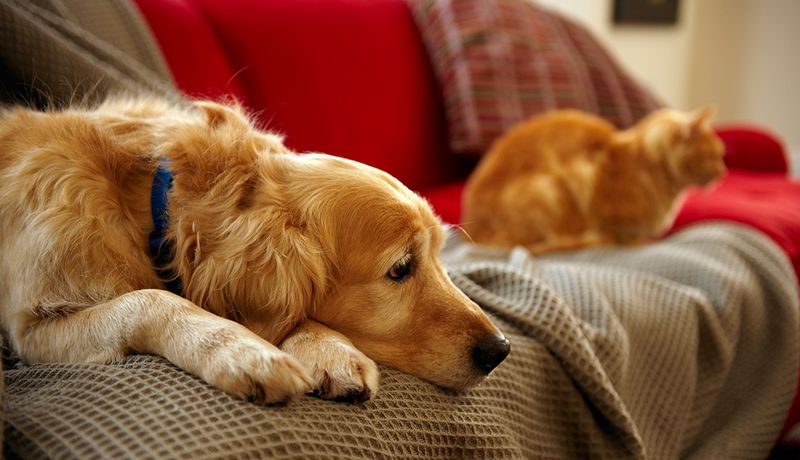 Social Withdrawal Vs. Clingy Behavior