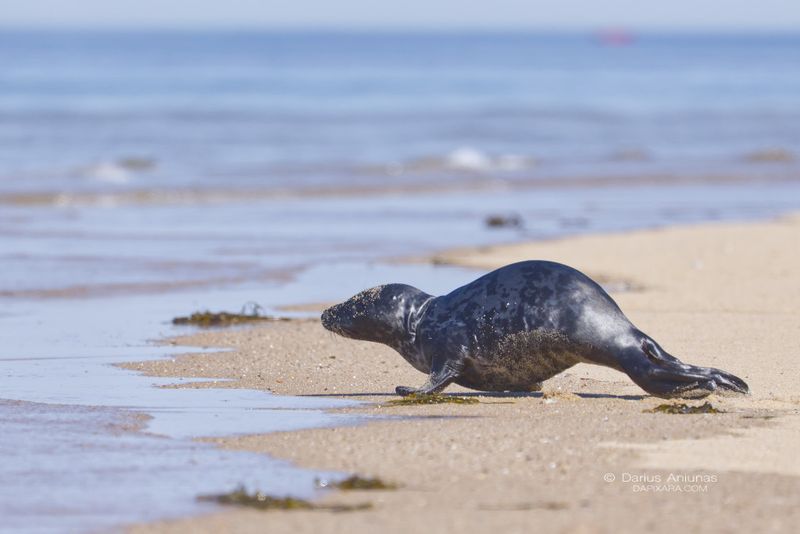 Massachusetts – Cape Cod National Seashore