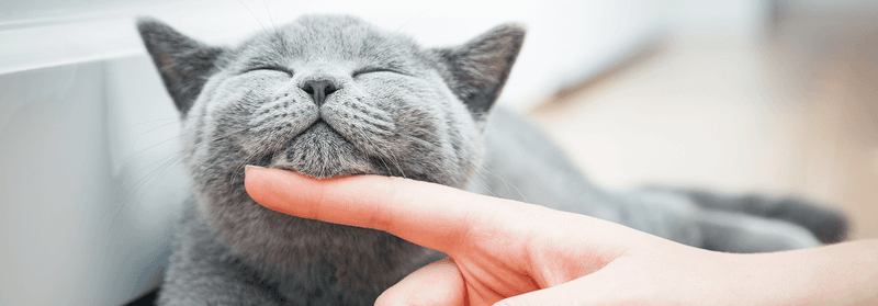 Respecting Your Personal Boundaries