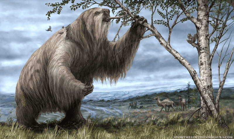 A Glimpse Into The Pleistocene
