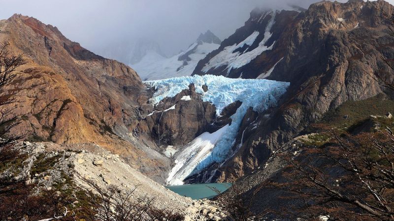 The Impact Of Climate Change On Species Like Alsodes vittatus