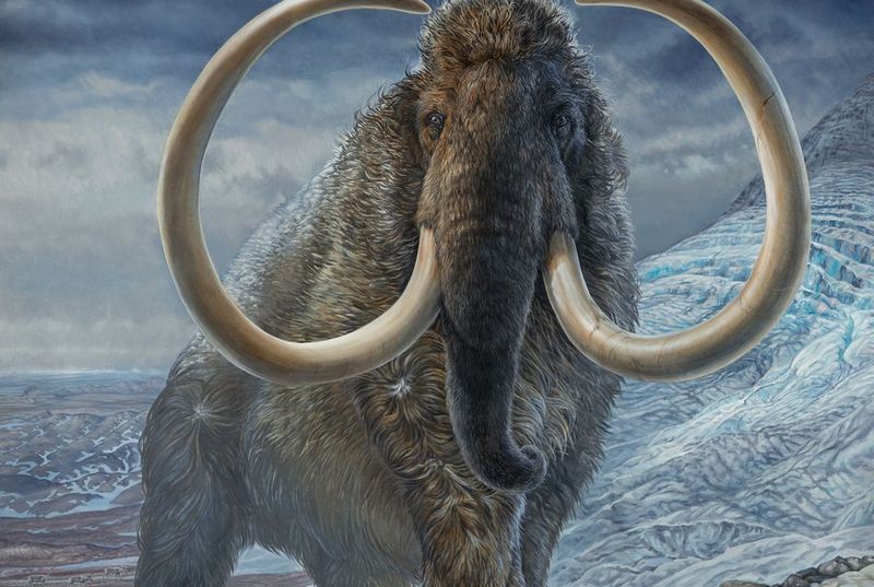Woolly Mammoth
