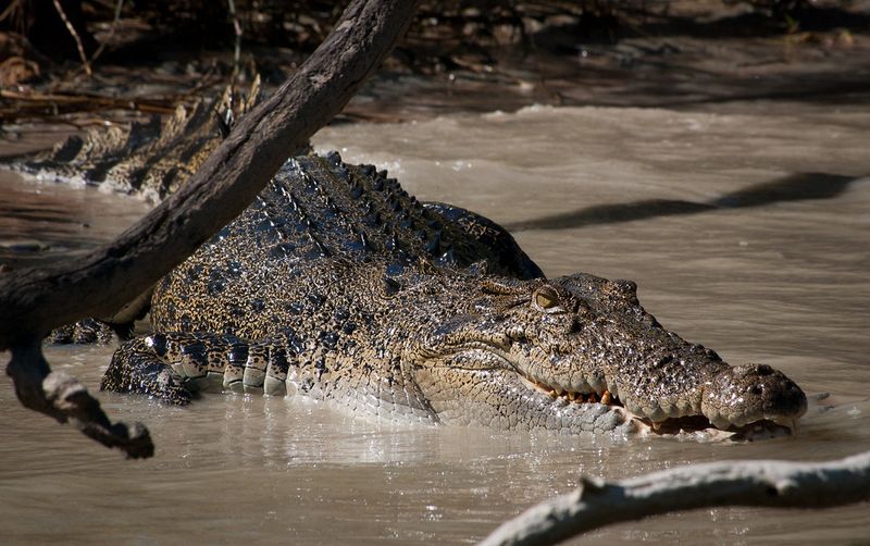 Northern Australia's East Alligator River