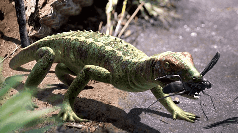 Petrolacosaurus: The Diapsid Pioneer