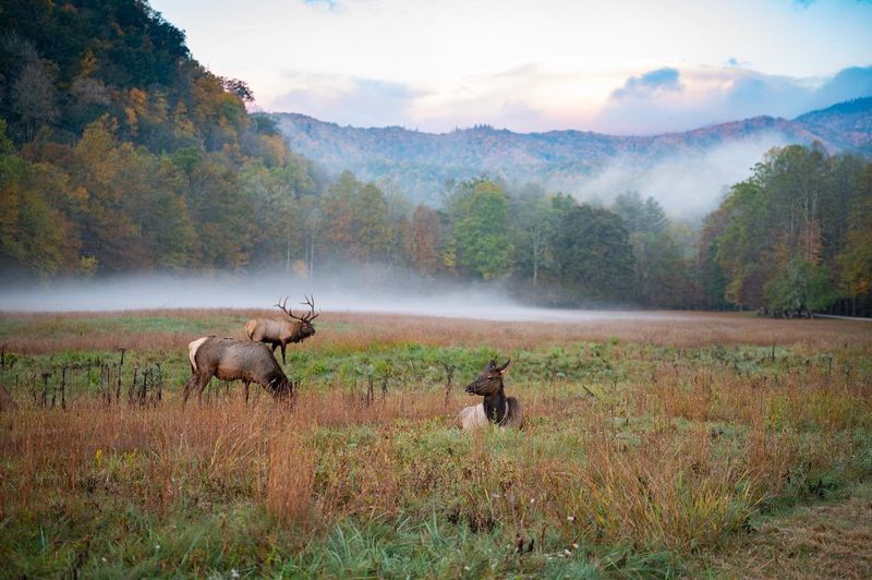 North Carolina