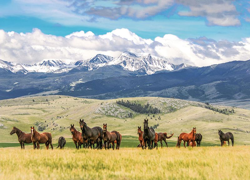 Missouri, Montana, And Nebraska