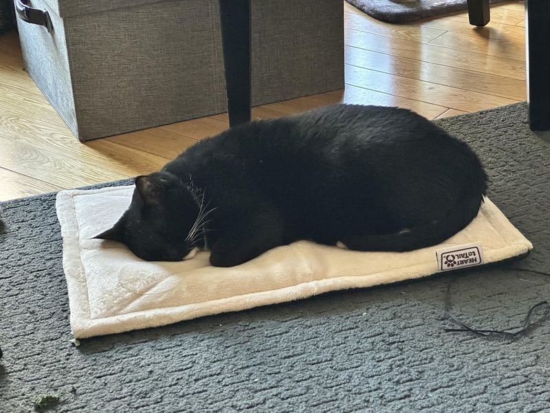 Battery-Powered Heating Pad