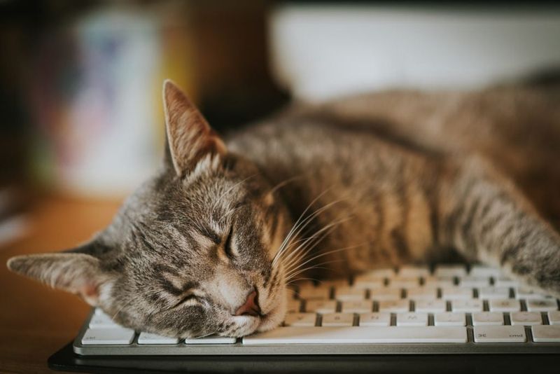 Keyboard Occupation Tactics